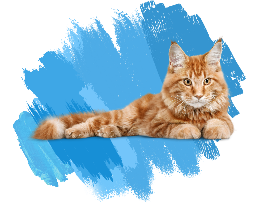 Web Images 4 - Stylized Image (2) emergencies
