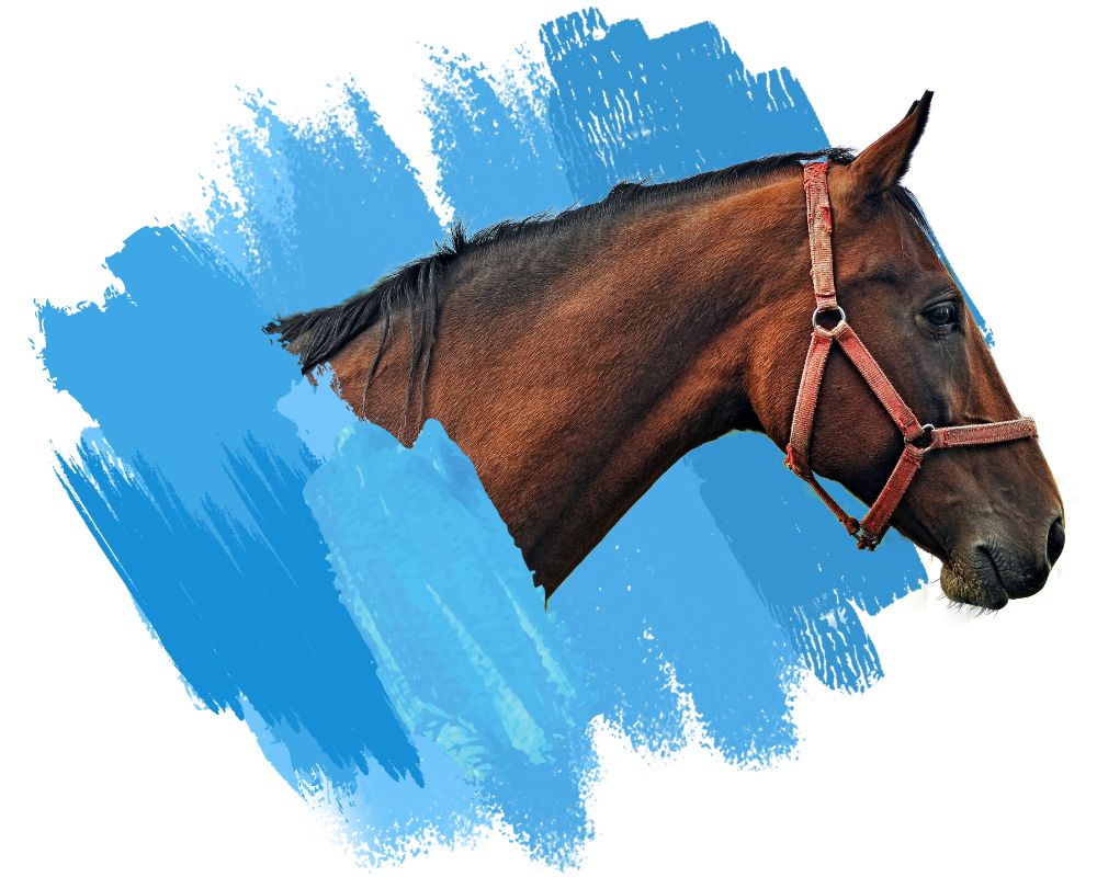 Web Images 4 - Stylized Image (4) gallery