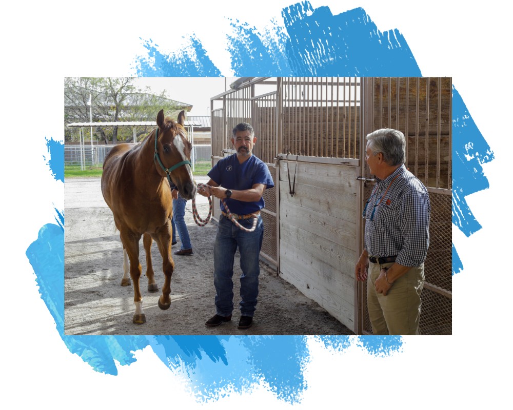 a vet staff standing with a horse